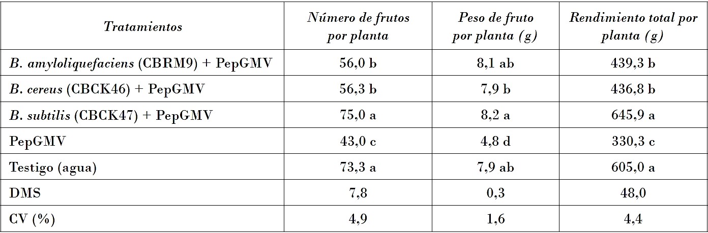 Efecto de tratamientos en el redimiento de plantas de chile habanero inoculadas con el PepGMV y con la aplicación de especies de Bacillus