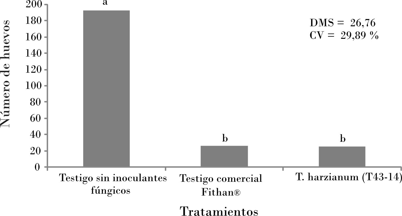 Efecto supresor de Trichoderma spp. en el número de huevos por gramo de raíz licuada de M. incognita en plantas de S. lycopersicum en condiciones protegidas.