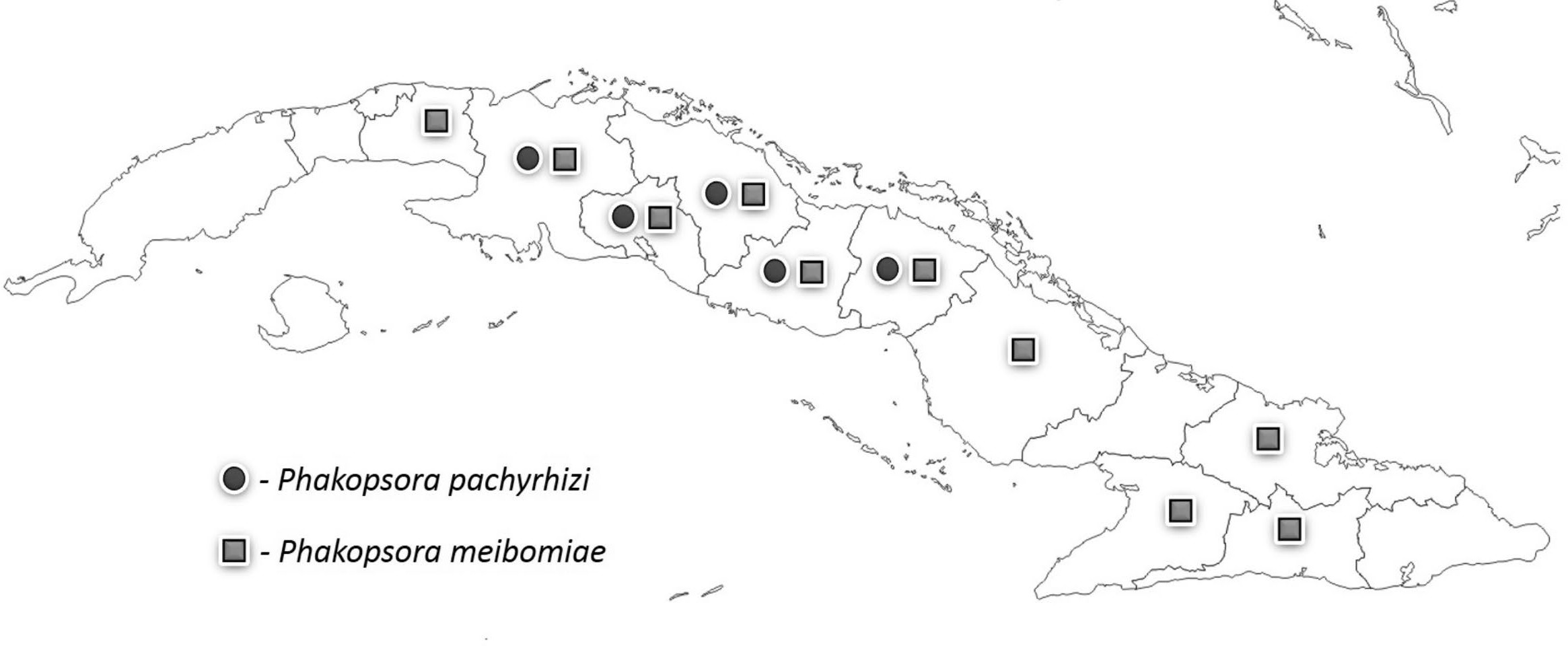 Distribución en Cuba de P. pachyrhizi y P. meibomiae.