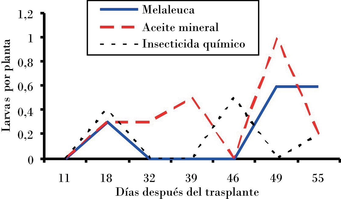 Efecto de M. quinquenervia sobre P. xylostella. Segundo experimento (septiembre-noviembre de 2012).
