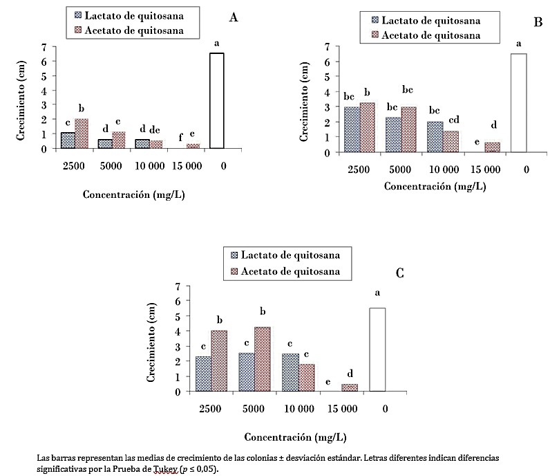 Efecto de las sales de quitosana en el crecimiento de las colonias de A. alternata (A), C. gloeosporioides (B) y C. capsici (C).