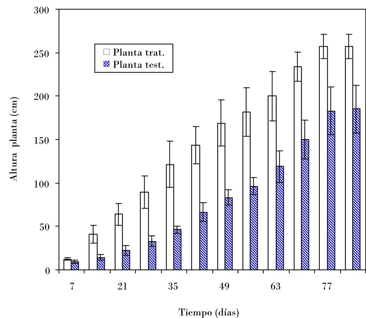 Efecto del Nemacid sobre el crecimiento de las plantas de pepino var. HA 454 (media de cinco réplicas).