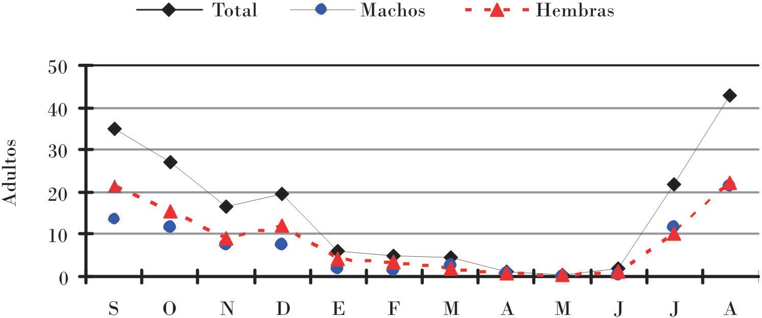 Fluctuación poblacional de adultos de C. laenata. Huimanguillo, Tabasco; septiembre de 2011-agosto de 2012.