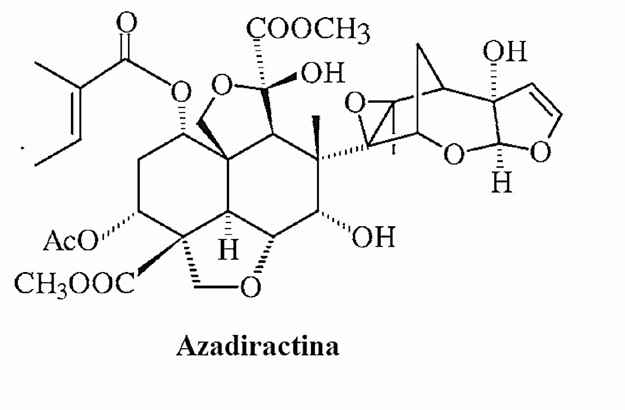 Azadiractina, principal componente con actividad plaguicida presente en el nim. [Tomada de Isman M. B.: «Botanical Insecticides, Deterrents and Repellents in Modern Agriculture and an Increasingly Regulated World».