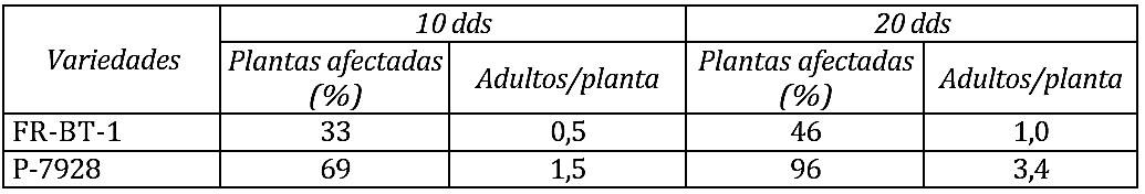Resultados de las evaluaciones a los campos de maíz. Granja Militar Integral La Ofelia, Venezuela, Ciego de Ávila, 2011