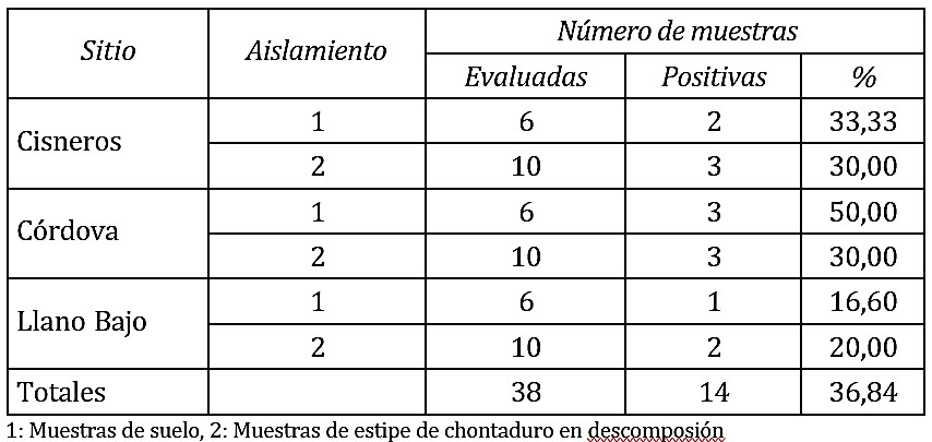 Ocurrencia de nematodos del género Steinernema en las tres localidades donde se realizaron los muestreos en el distrito Buenaventura