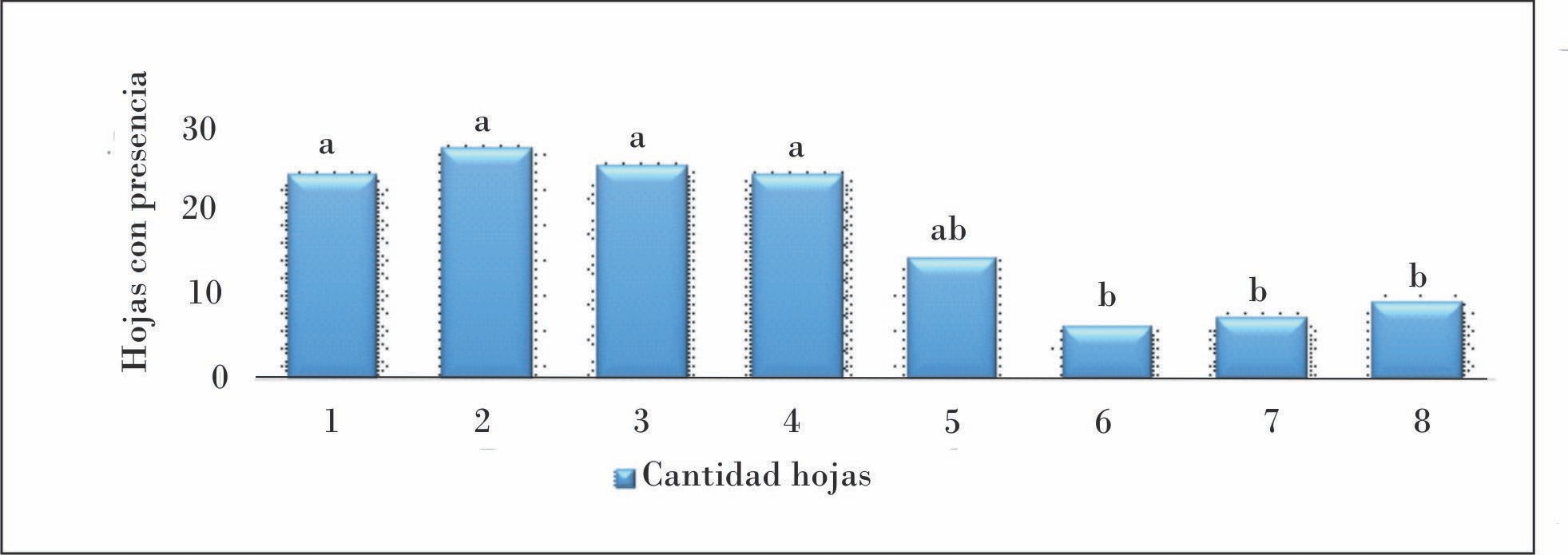 Cantidad de hojas con presencia y daño de R. decollata. Letras diferentes indican significación estadística (p < 0,05) (n = 50)