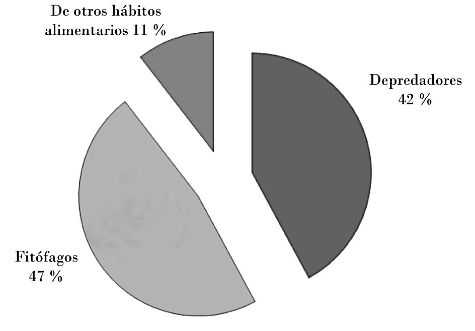 Composición trófica de las especies interceptadas.