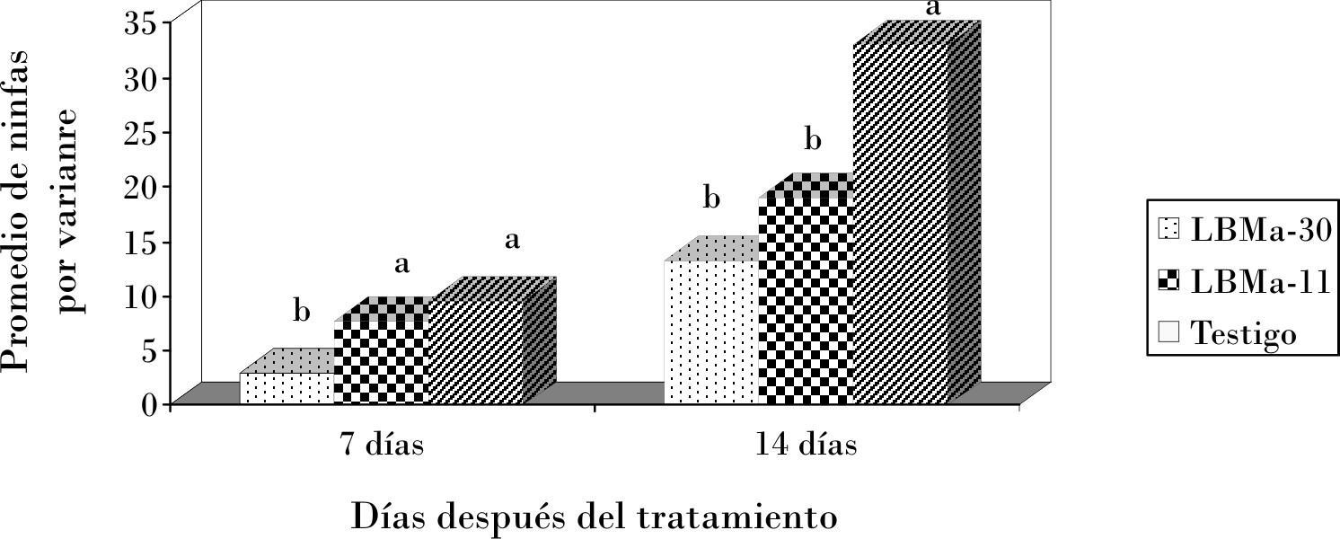 Promedio de ninfas de primer estadio en las variantes del experimento de campo.